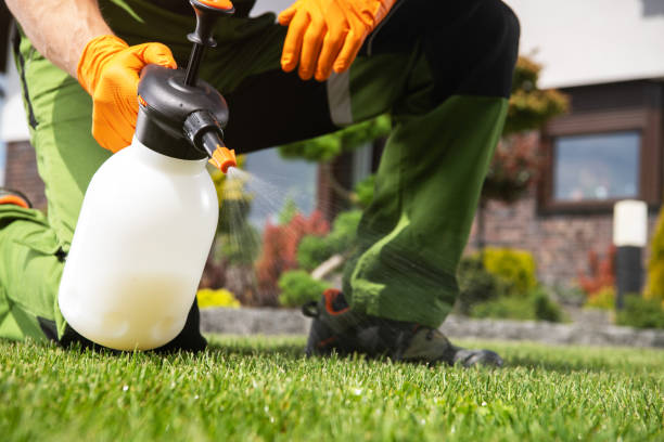 Best Best Pest Control Companies  in Monroe, IA