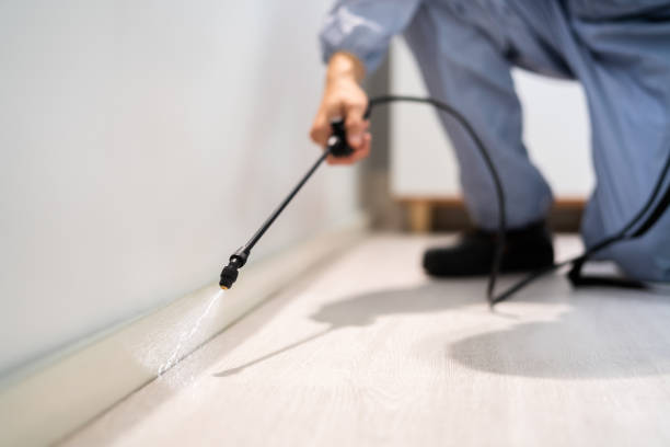 Best Exterminator Services  in Monroe, IA
