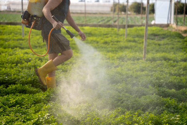 Best Pest Control Near Me in Monroe, IA