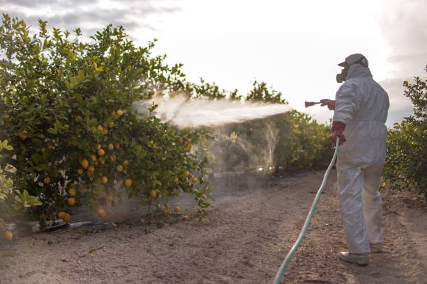 Best Cockroach Control Services  in Monroe, IA