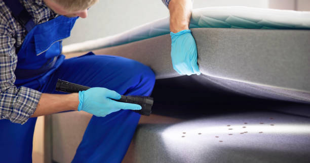 Best Mosquito Control Services  in Monroe, IA