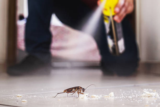 Best Termite Control Services  in Monroe, IA
