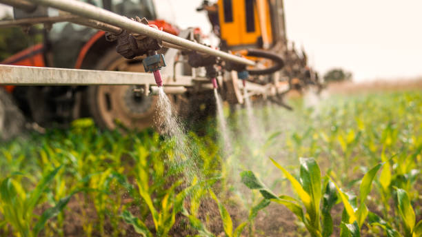 Best Mosquito Control Services  in Monroe, IA